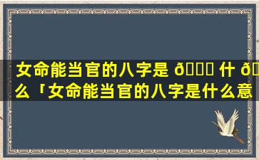 女命能当官的八字是 🐛 什 🐋 么「女命能当官的八字是什么意思」